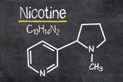 кто химически синтезирует никотин?