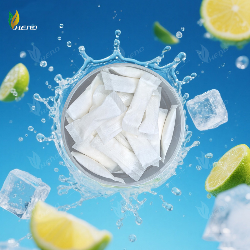 профессиональный Пакетики с никотином 6 мг OEM производителей